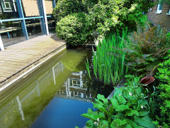Innenhof Scharnhorstgymnasium (Foto: MAK) Innenhof Scharnhorstgymnasium (Foto: MAK)