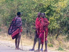 Afrikanische Impressionen (Foto: Lara-Angelina Lenau, 2018) Afrikanische Impressionen (Foto: Lara-Angelina Lenau, 2018)