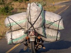 Afrikanische Impressionen (Foto: Lara-Angelina Lenau, 2018) Afrikanische Impressionen (Foto: Lara-Angelina Lenau, 2018)