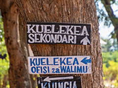 Das Ziel ist greifbar nah (Foto: Lara-Angelina Lenau, 2018) Das Ziel ist greifbar nah (Foto: Lara-Angelina Lenau, 2018)