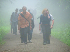Wanderung mit nebulösen Überraschungen (Foto: MAK)