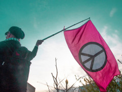 Politik: Frieden