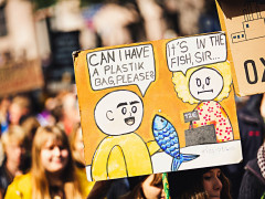 Politik: Plastik