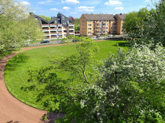 Unser Sportplatz am Scharnhorstgymnasium (Foto: Maack)