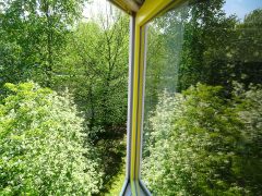 Blick aus einem Klassenraum am SHG (Foto: MAK) Grün, grün, grün! (Foto: MAK)