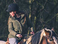 Reiten am SHG (Foto: Shyam, Unsplash)