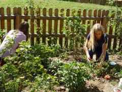 AG Grüner Daumen im Schulgarten AG Grüner Daumen im Schulgarten