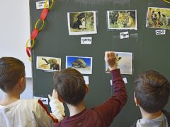 Wer kennt Tiere auf Spanisch? (Foto: MEN) Wer kennt Tiere auf Spanisch? (Foto: MEN)