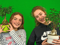 AG Grüner Daumen am SHG