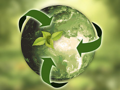 AG Umweltbewusst(er) leben (Foto: Annca, Pixabay) AG Umweltbewusst(er) leben (Foto: Annca, Pixabay)