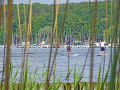 Freizeit am Wannsee (Foto: MAK) Freizeit am Wannsee (Foto: MAK)