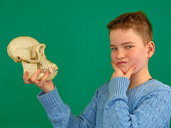 Biologie am SHG – Woher kommen wir?