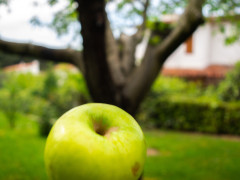 Schwerkraft (Foto: Mehmet Ali Turan, Unsplash)