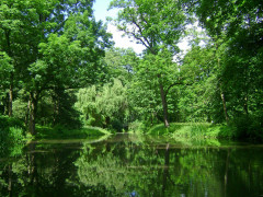 Park in Warschau (Foto: 12019, Pixabay) Park in Warschau (Foto: 12019, Pixabay)