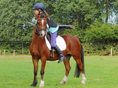 AG Reiten AG Reiten