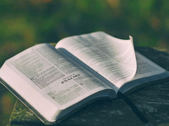 Die Bibel (Foto: Aaron Burden, Unsplash)