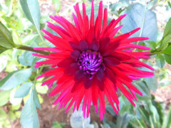 Etwas für's Auge! Etwas für's Auge!