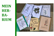Mein Herbarium Mein Herbarium