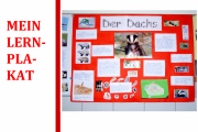 Meine Präsentation Meine Präsentation