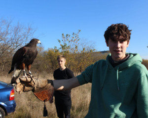 Falknerei in Ungarn (2021)