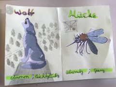Wolf und Mücke