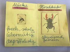 Mücke und Hirschkäfer