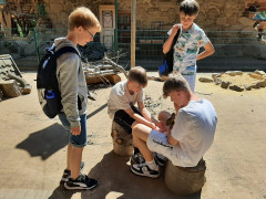 Ausflug zum Tiergehege