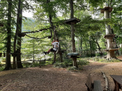 Mit Schwung nach unten