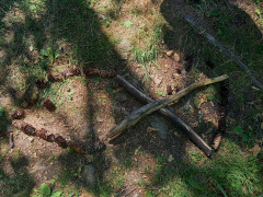 Naturbild bei der 90 Minuten Challenge