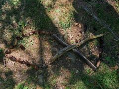 Naturbild bei der 90 Minuten Challenge