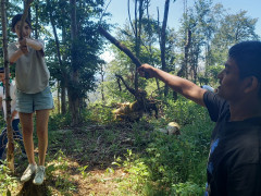 Kampf der Waldritter