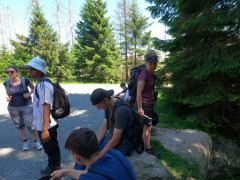 Kleine Verschnaufpause