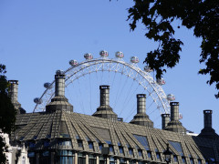 Blick auf das London Eye