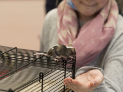 Tierischer Besucher in der Biologie