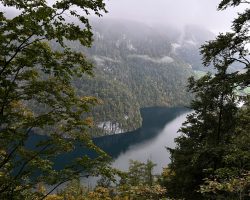 Ausblick auf den Königssee / Abstieg vom Jenner