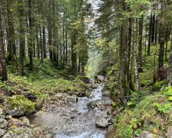 Wanderung